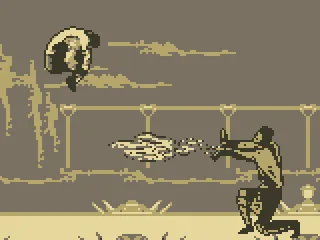 Shang Tsung vs. Sub Zero