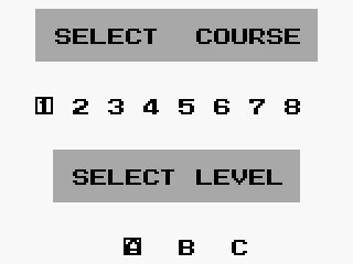 Select course & level