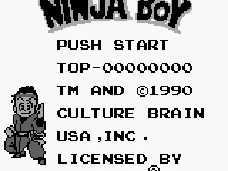 Ninja Boy title screen