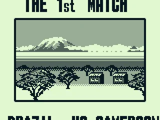 The 1st match: Brazil vs. Cameroon