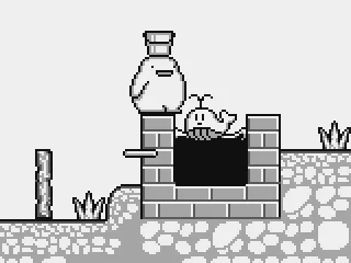 Looks like this baby whale lost his parents.