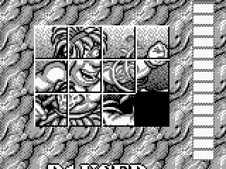 Pausing shows the source image