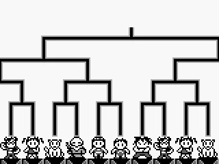 Entering the tournament