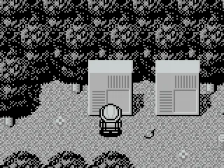 Selecting a puzzle in the forest.