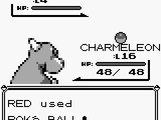 You can catch wild pokemon with poke balls