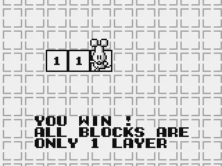 All blocks are only 1 layer