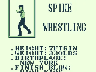 An overview of the different fighters