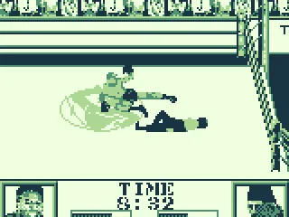 This guy is incredibly fast and acrobatic... but now he is mainly on the ground.