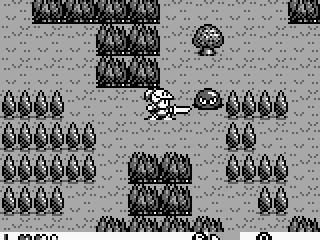 A forest full of monsters