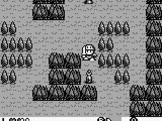 New gear for your long adventure