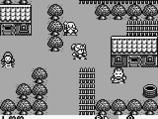 The village is the beginning.