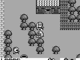 What's in this treasure?