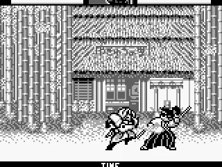 The environment: a peaceful bamboo forest... Peaceful? With a fight in course?!?