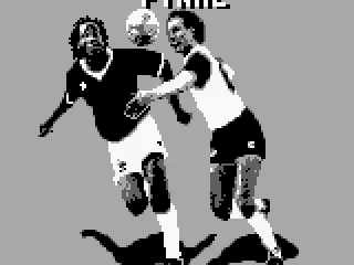 Ready for the final.