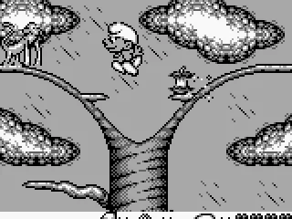 In Africa jumping on trees. The monkeys are surprised (male).