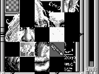 Einstein puzzle in progress