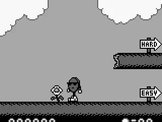 Talking to the flower. Or simply Main menu.