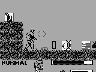 Inside the hedge maze