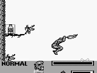 That leaf isn't going to hold your weight