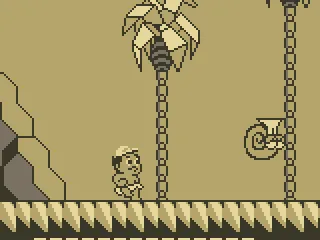 Palm Trees and Snails