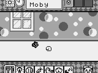 Let's see if he likes a carrot