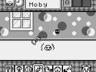 My pet has a cold, but doesn't like shots