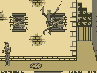 What's that web attached to?