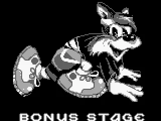 Bonus stage