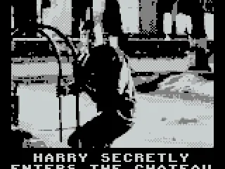 Harry sneaks in through the pool