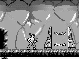 The gate to a new world