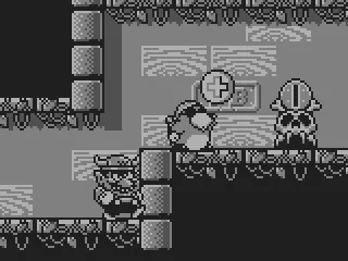 The pirate shows Wario unwillingly how to open the exit doors.