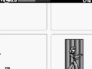 This door signifies the end of the level