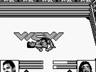 A pin... sort of looks like a hermit crab.