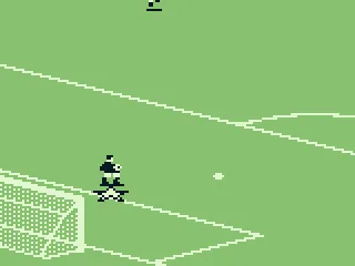 The goalie stopped the other team from scoring.