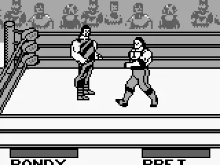 Randy Savage VS Bret