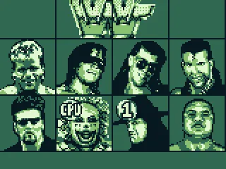 I chose the Undertaker, the CPU chose Doink.