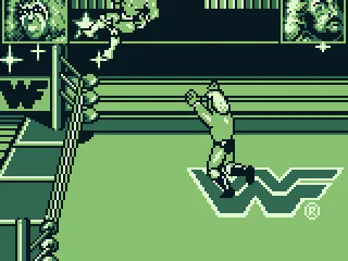 It is possible to throw the opponent out of the ring