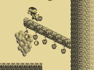 Zool slides down the trees.