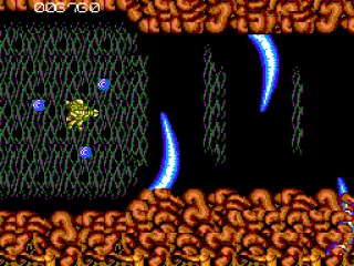 Flying into the mouth