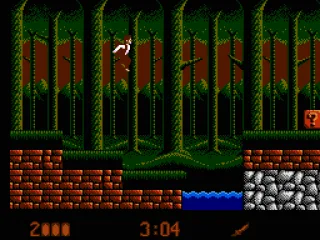 Hopping through the forest