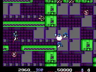 Shooting some giant flies.