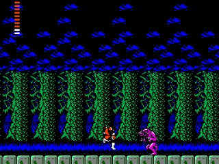 Same forest, same place, but at night