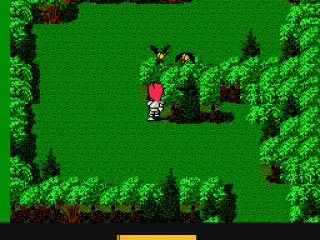 You have to jump and swing your sword to kill the birds.