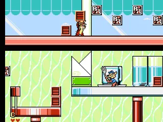 Watch out for rats with silverware