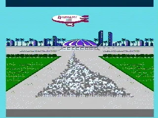 The opening ceremonies