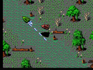 Racing through the bayou