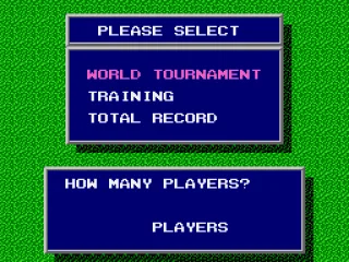 After picking ‘World Tournament’ the player picks the number of players is picked, up a total of 8.