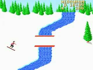 You can either cross the bridge or jump across the river