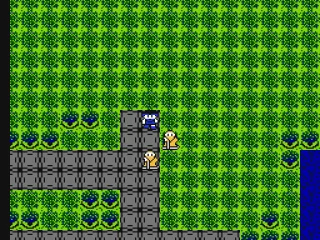 You have entered a town. Towns look really alike.