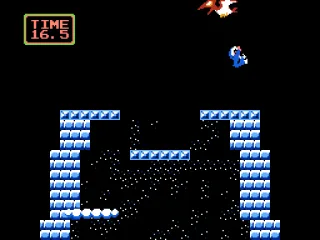 Trying to catch the bird